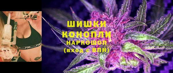 гидра Михайловск