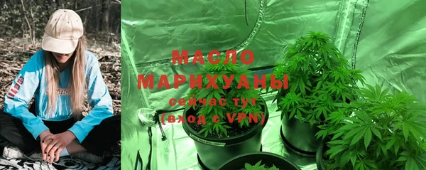 гидра Михайловск