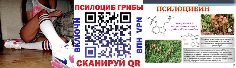 Галлюциногенные грибы Cubensis  купить  цена  MEGA ТОР  Рославль 